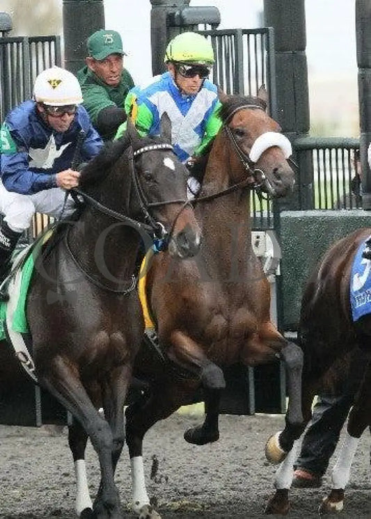 Font - 6 101311 Race 06 Keeneland