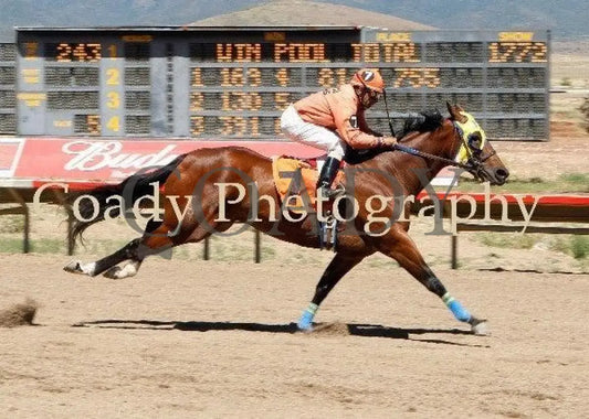 For Love N Money - Desert Classic Derby Trial Yavapai Downs