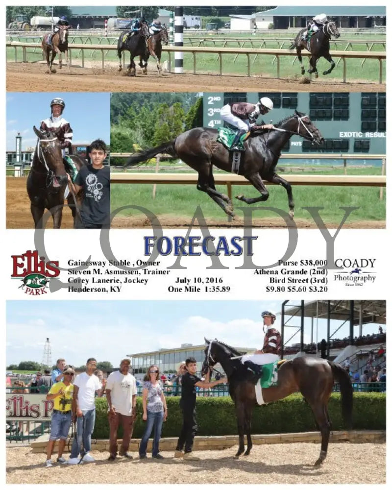 Forecast - 071016 Race 05 Elp Ellis Park