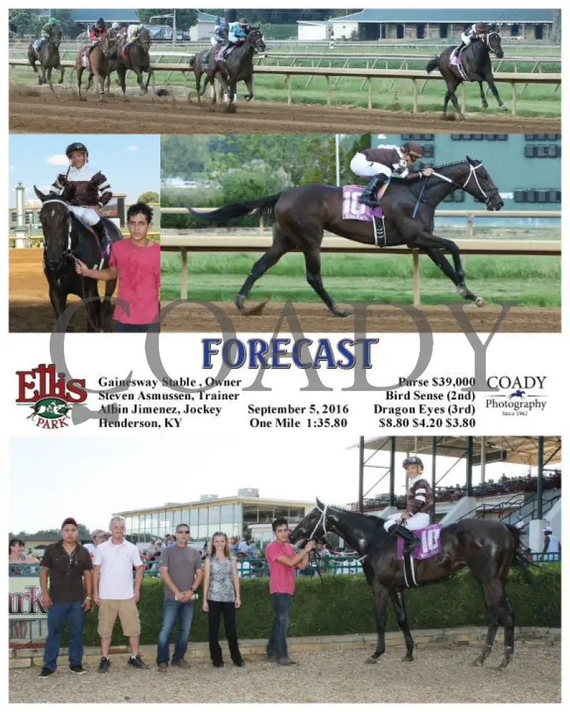 Forecast - 090516 Race 08 Elp Ellis Park