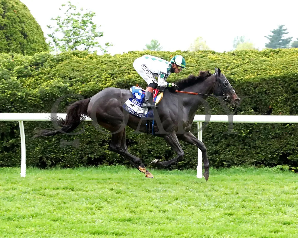 FOREVER AFTER ALL - The Bewitch G3 - 04-25-25 - R08 - KEE - Finish 01 Keeneland