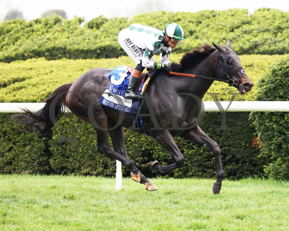 FOREVER AFTER ALL - The Bewitch G3 - 04-25-25 - R08 - KEE - Finish 02 Keeneland