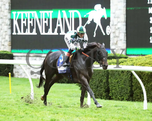 FOREVER AFTER ALL - The Bewitch G3 - 04-25-25 - R08 - KEE - Finish 03 Keeneland