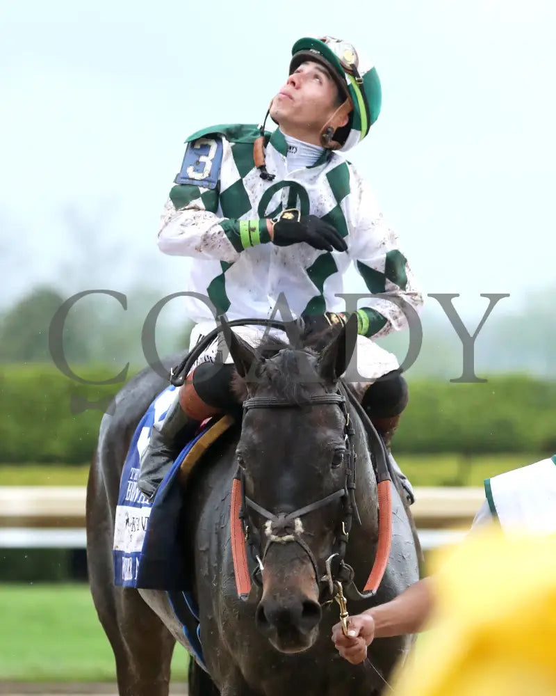 FOREVER AFTER ALL - The Bewitch G3 - 04-25-25 - R08 - KEE - Irad Ortiz Jr 03 Keeneland