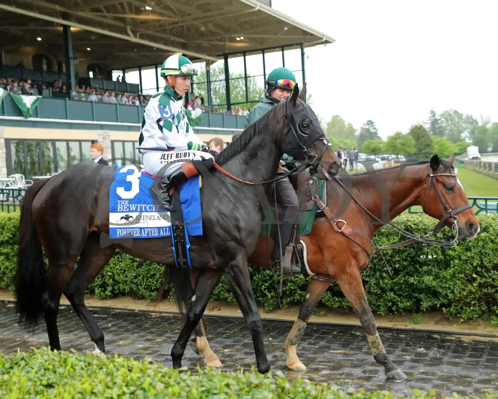 FOREVER AFTER ALL - The Bewitch G3 - 04-25-25 - R08 - KEE - Post Parade 01 Keeneland
