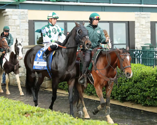 FOREVER AFTER ALL - The Bewitch G3 - 04-25-25 - R08 - KEE - Post Parade 02 Keeneland