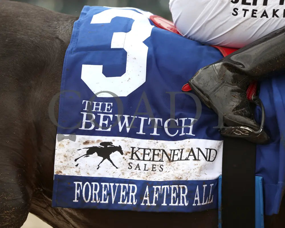 FOREVER AFTER ALL - The Bewitch G3 - 04-25-25 - R08 - KEE - Saddle Towel 02 Keeneland