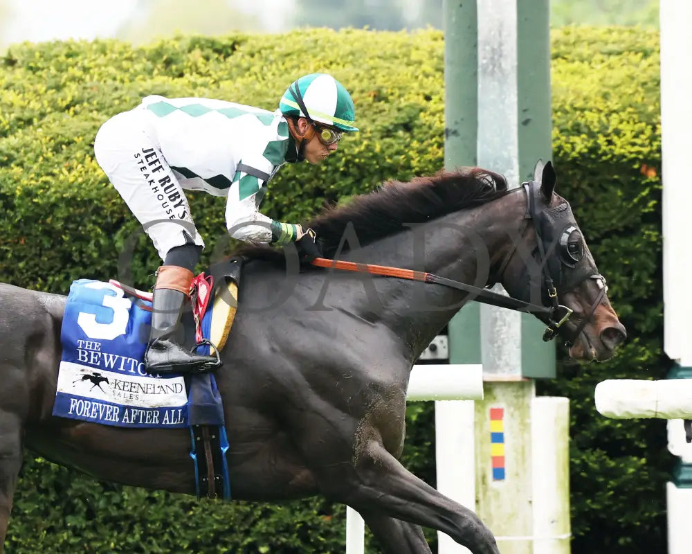 FOREVER AFTER ALL - The Bewitch G3 - 04-25-25 - R08 - KEE - Tight Finish 01 Keeneland
