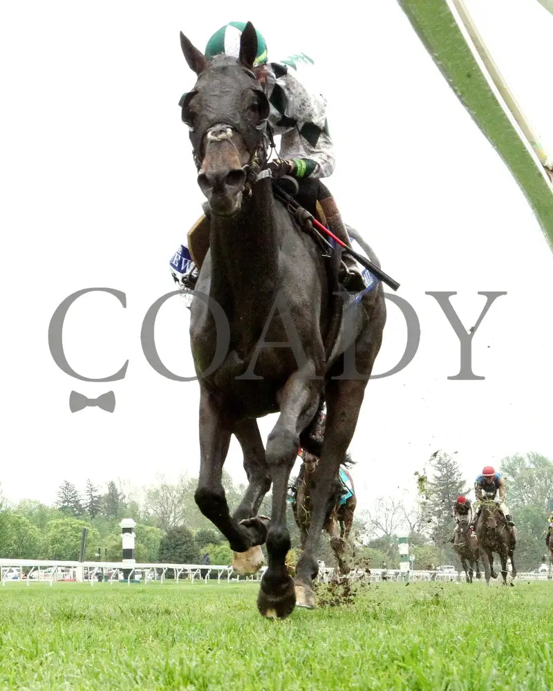 FOREVER AFTER ALL - The Bewitch G3 - 04-25-25 - R08 - KEE - Under Rail 01 Keeneland