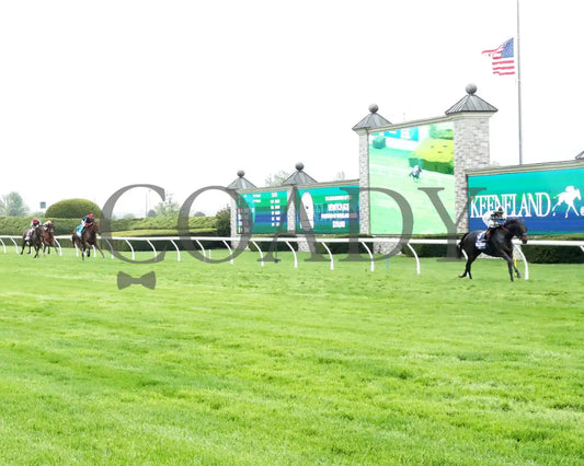 FOREVER AFTER ALL - The Bewitch G3 - 04-25-25 - R08 - KEE - Up the Track 01 Keeneland