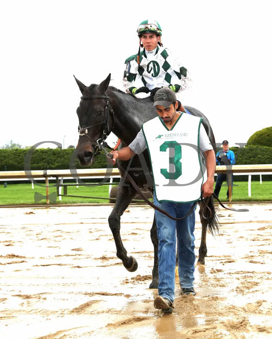 FOREVER AFTER ALL - The Bewitch G3 - 04-25-25 - R08 - KEE - Walk In 01 Keeneland