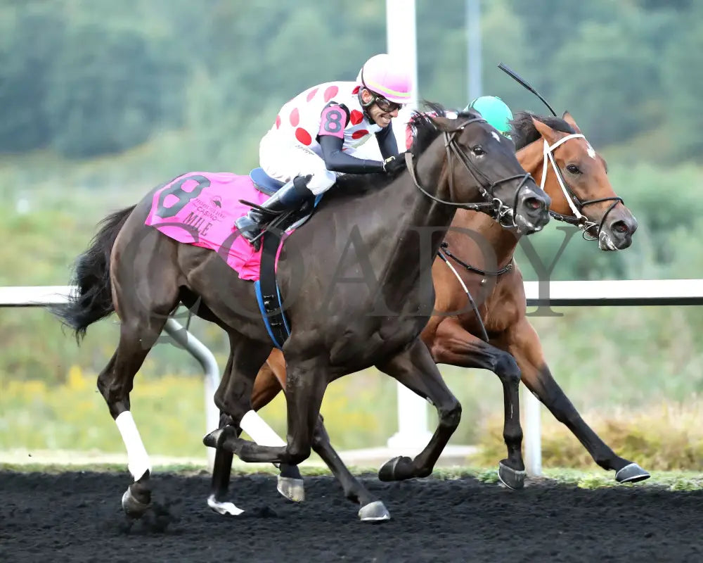 Forever Souper - The Presque Isle Mile 09-20-24 R07 Pid Finish 02 Downs