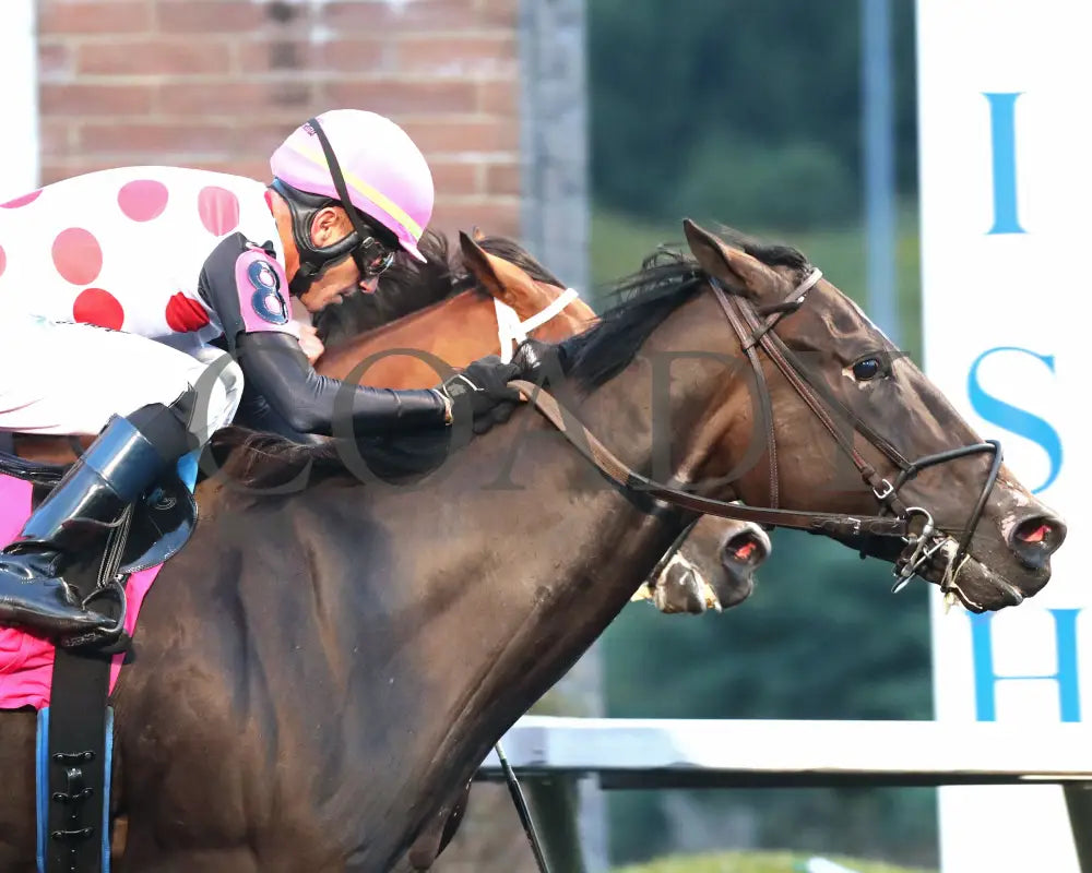 Forever Souper - The Presque Isle Mile 09-20-24 R07 Pid Finish 03 Downs
