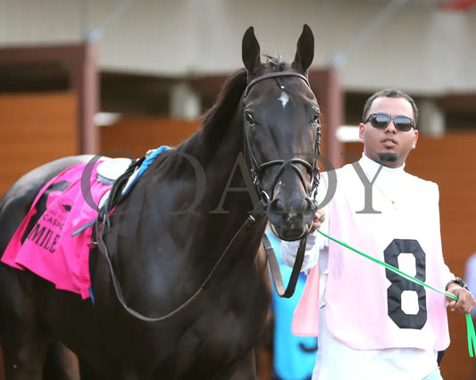 Forever Souper - The Presque Isle Mile 09-20-24 R07 Pid Paddock 03 Downs
