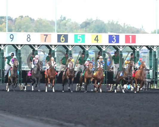 Forever Souper - The Presque Isle Mile 09-20-24 R07 Pid Start Downs