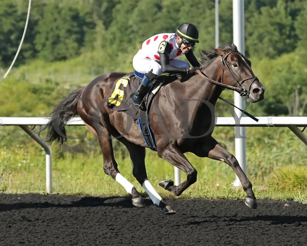 Forever Soupers - The Avery Whisman Memorial Stakes 3Rd Running 08-12-24 R07 Pid Tight Finish