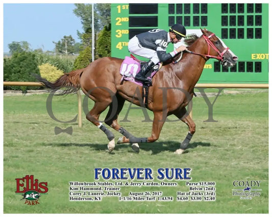 Forever Sure - 082617 Race 07 Elp A Ellis Park