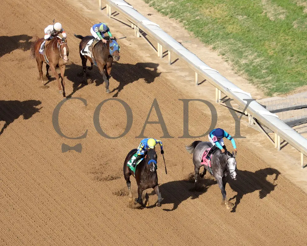 FORT BRAGG - The St. Matthews Overnight Stakes - 4th Running - 05-01-25 - R11 - CD - Aerial Finish 02 Churchill Downs