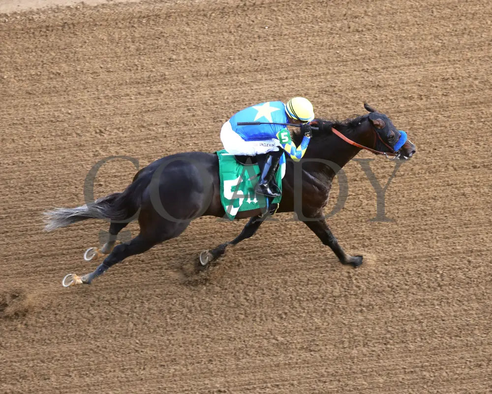FORT BRAGG - The St. Matthews Overnight Stakes - 4th Running - 05-01-25 - R11 - CD - Aerial Finish 01 Churchill Downs