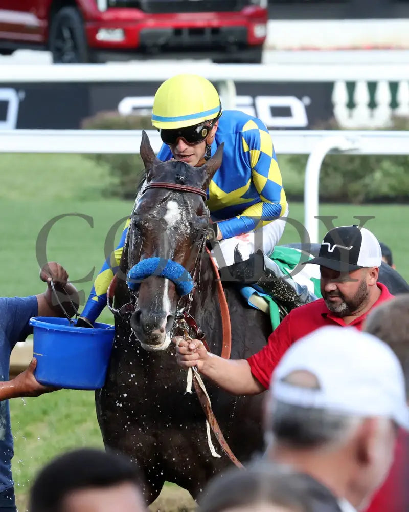 FORT BRAGG - The St. Matthews Overnight Stakes - 4th Running - 05-01-25 - R11 - CD - Come Back 02 Churchill Downs