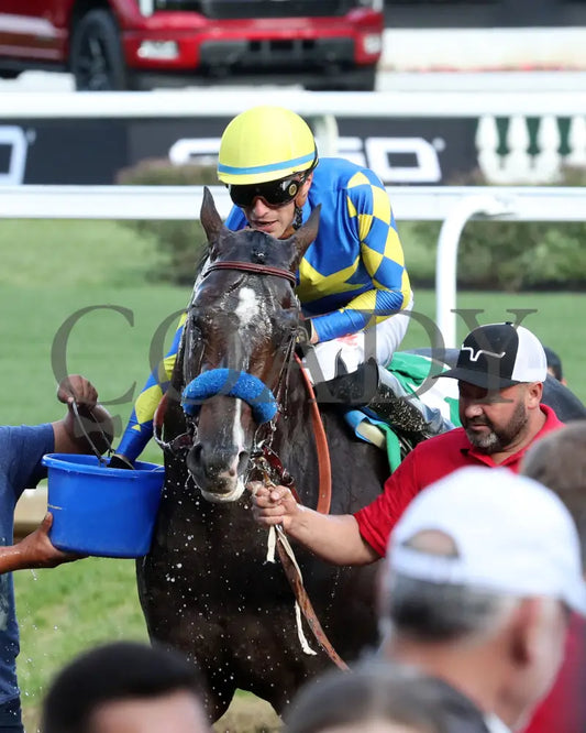 FORT BRAGG - The St. Matthews Overnight Stakes - 4th Running - 05-01-25 - R11 - CD - Come Back 02 Churchill Downs