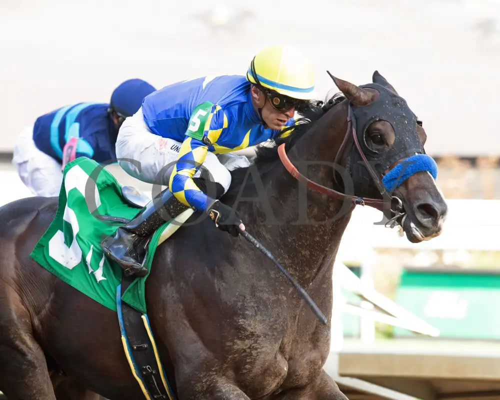 FORT BRAGG - The St. Matthews Overnight Stakes - 4th Running - 05-01-25 - R11 - CD - Finish 04 Churchill Downs