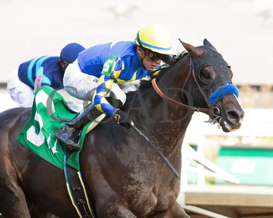 FORT BRAGG - The St. Matthews Overnight Stakes - 4th Running - 05-01-25 - R11 - CD - Finish 04 Churchill Downs