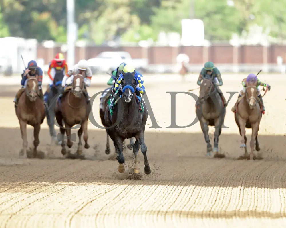 FORT BRAGG - The St. Matthews Overnight Stakes - 4th Running - 05-01-25 - R11 - CD - Head On 01 Churchill Downs