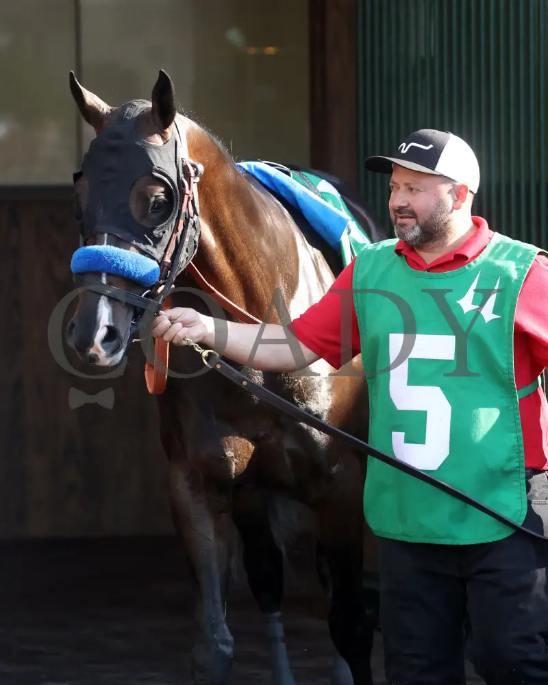 FORT BRAGG - The St. Matthews Overnight Stakes - 4th Running - 05-01-25 - R11 - CD - Paddock 01 Churchill Downs