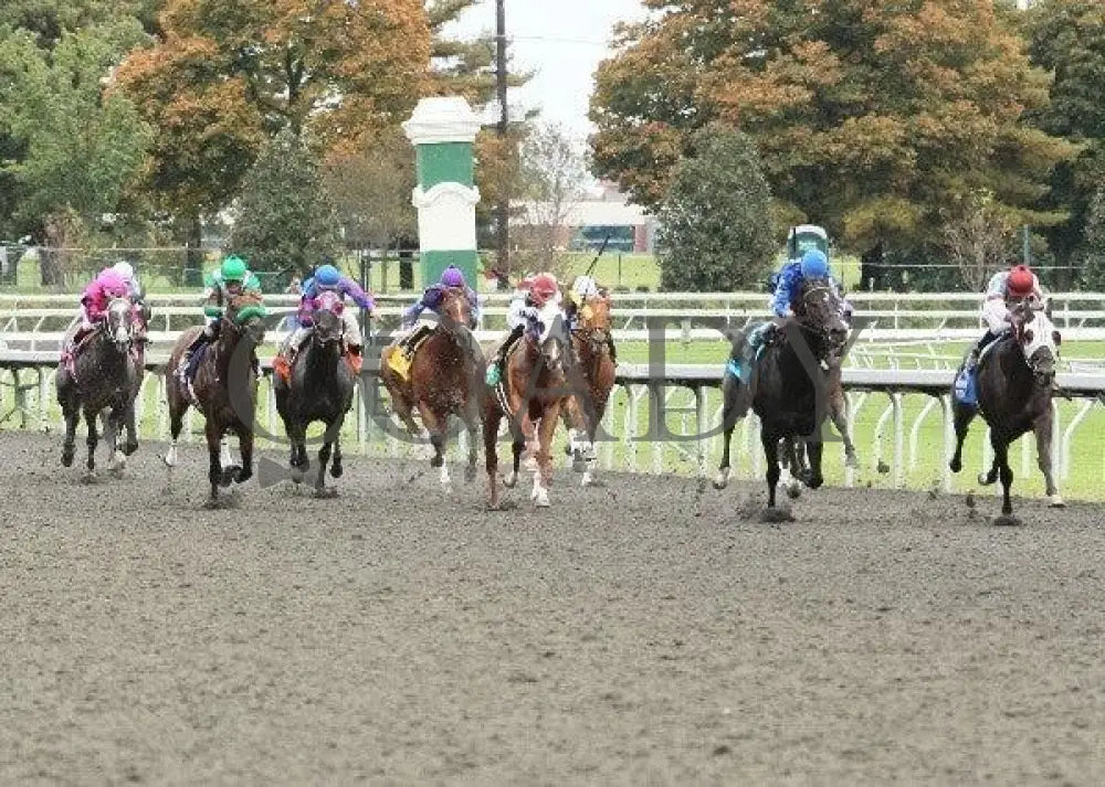 Fort Defiance - 1 101311 Race 04 Keeneland