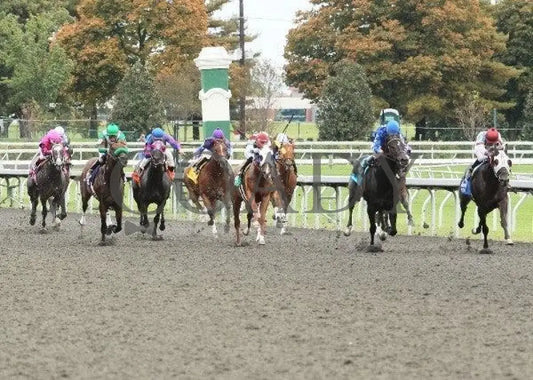 Fort Defiance - 1 101311 Race 04 Keeneland