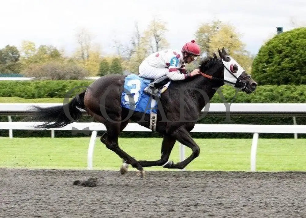 Fort Defiance - 2 101311 Race 04 Keeneland