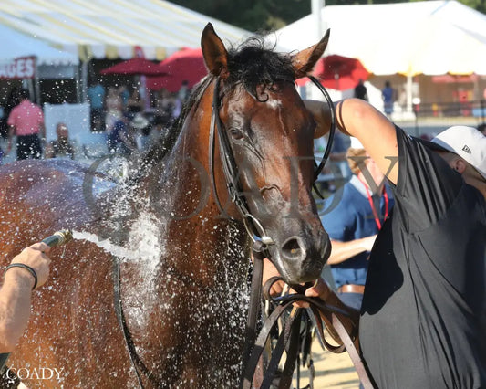 FORT WASHINGTON The Arlington Million Stakes 08 09 25 R11 CNL Bath 01 Colonial Downs