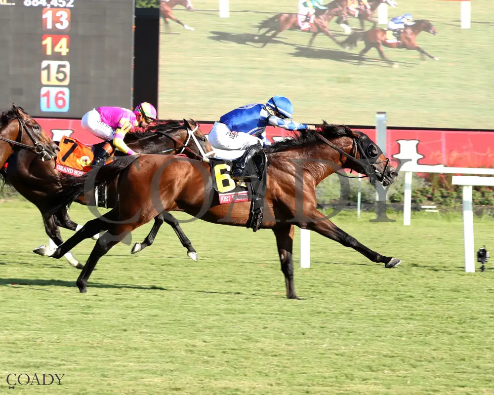 FORT WASHINGTON The Arlington Million Stakes 08 09 25 R11 CNL Finish 01 Colonial Downs