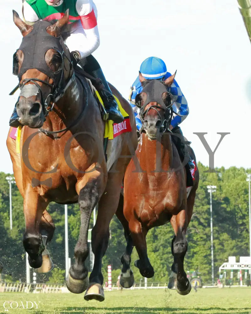 FORT WASHINGTON The Arlington Million Stakes 08 09 25 R11 CNL First Pass 01 Colonial Downs