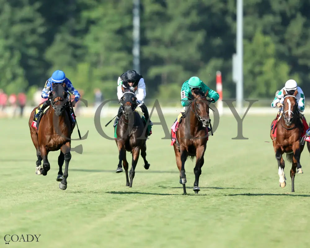 FORT WASHINGTON The Arlington Million Stakes 08 09 25 R11 CNL Head On 01 Colonial Downs