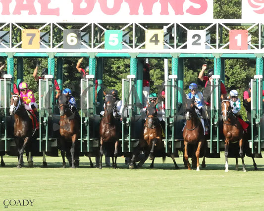 FORT WASHINGTON The Arlington Million Stakes 08 09 25 R11 CNL Start 01 Colonial Downs