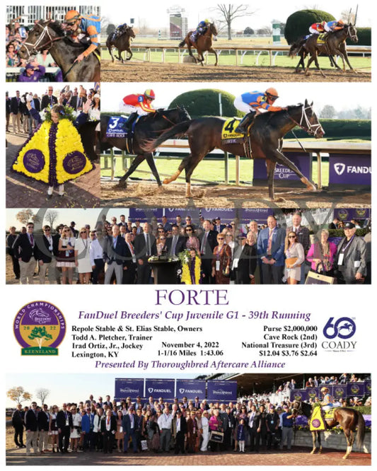 Forte - Fanduel Breeders’ Cup Juvenile G1 39Th Running 11-04-22 R09 Kee 2022