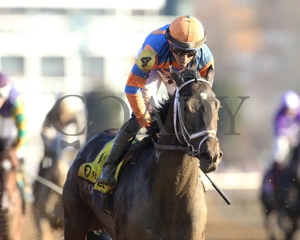 Forte - Fanduel Breeders’ Cup Juvenile G1 39Th Running 11-04-22 R09 Kee Gallop Out 01 Keeneland