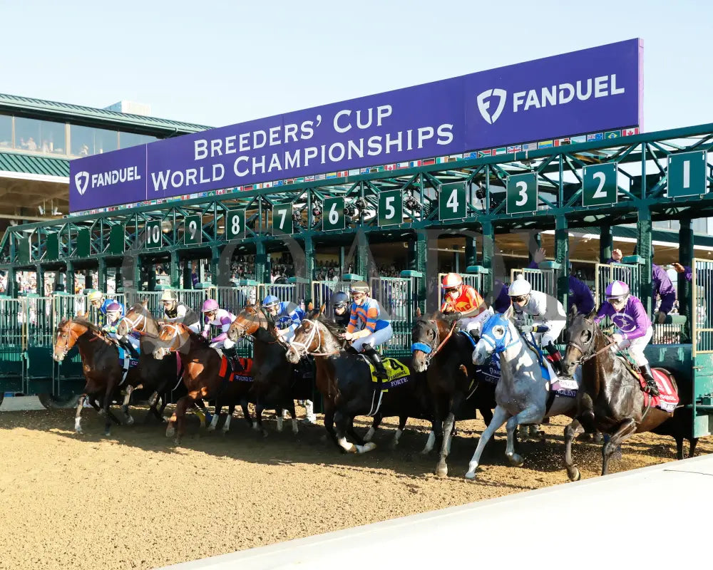 Forte - Fanduel Breeders’ Cup Juvenile G1 39Th Running 11-04-22 R09 Kee Start 01 Keeneland
