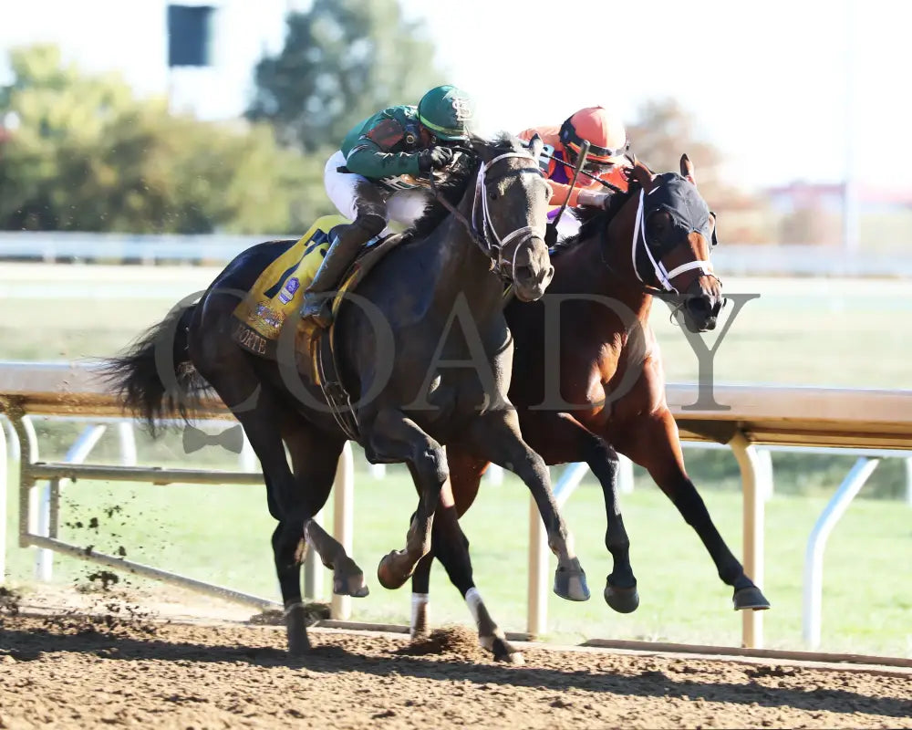 Forte - The Claiborne Breeders’ Futurity G1 109Th Running 10-08-22 R09 Kee Finish 02 Keeneland