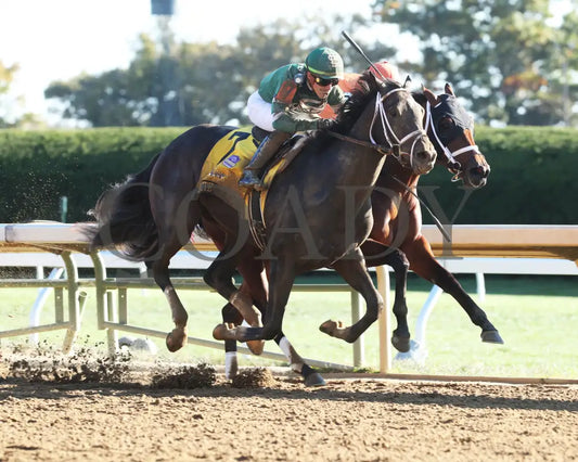 Forte - The Claiborne Breeders’ Futurity G1 109Th Running 10-08-22 R09 Kee Finish 04 Keeneland