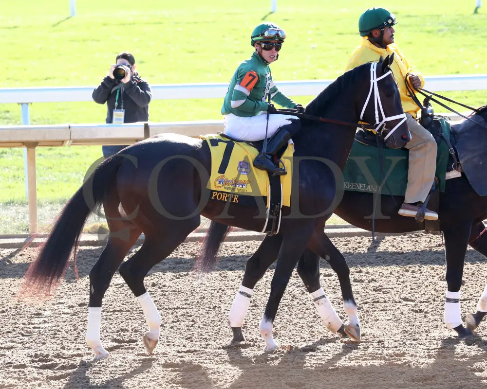 Forte - The Claiborne Breeders’ Futurity G1 109Th Running 10-08-22 R09 Kee Post Parade 01 Keeneland