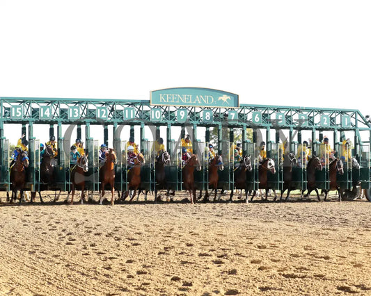 Forte - The Claiborne Breeders’ Futurity G1 109Th Running 10-08-22 R09 Kee Start 05 Keeneland