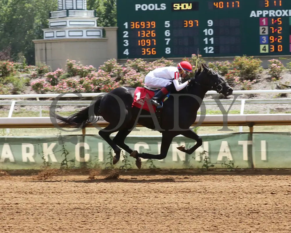 Fortissimo - The Hoover Stakes 07-19-24 R06 Btp Finish 01 Belterra Park