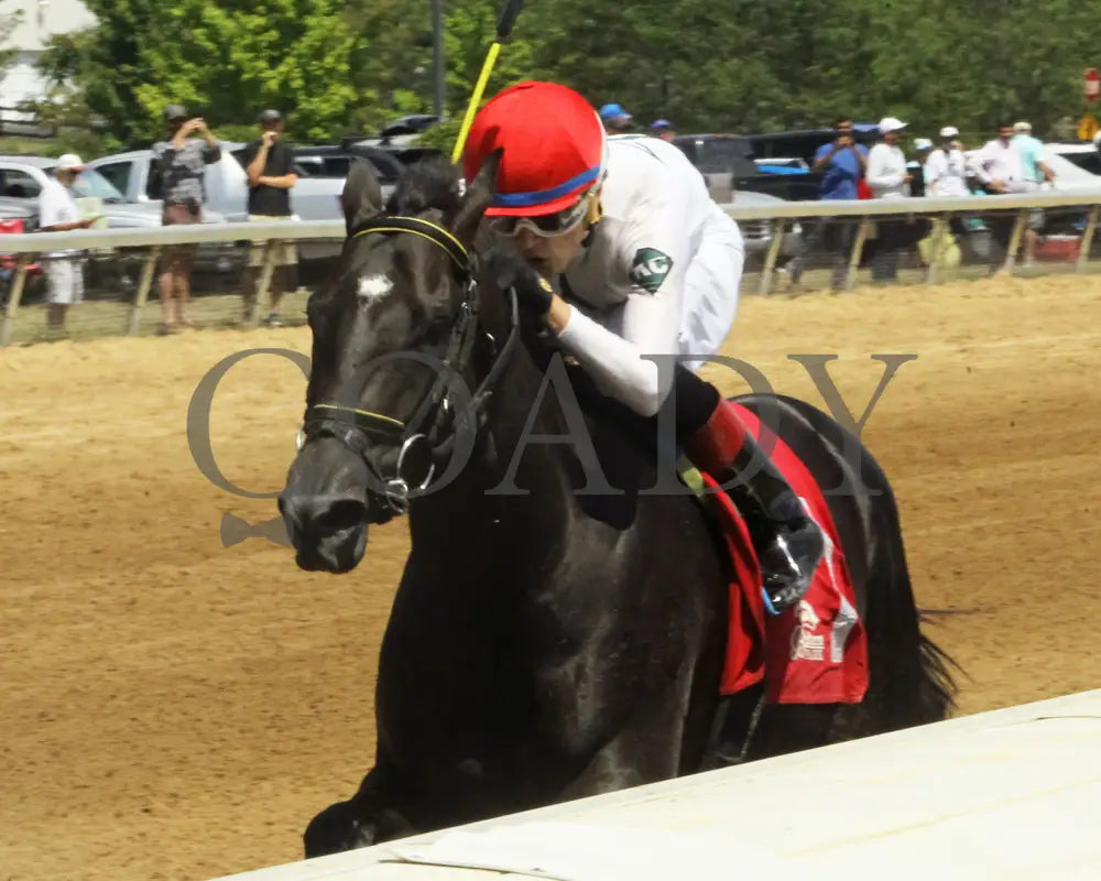 Fortissimo - The Hoover Stakes 07-19-24 R06 Btp Inside Rail 01 Belterra Park