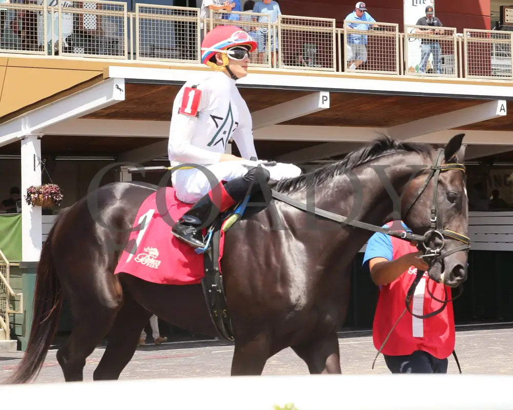 Fortissimo - The Hoover Stakes 07-19-24 R06 Btp Paddock 03 Belterra Park