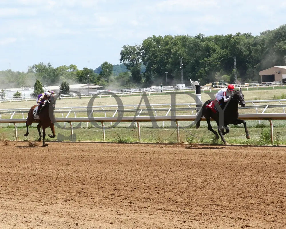 Fortissimo - The Hoover Stakes 07-19-24 R06 Btp Up Track 01 Belterra Park