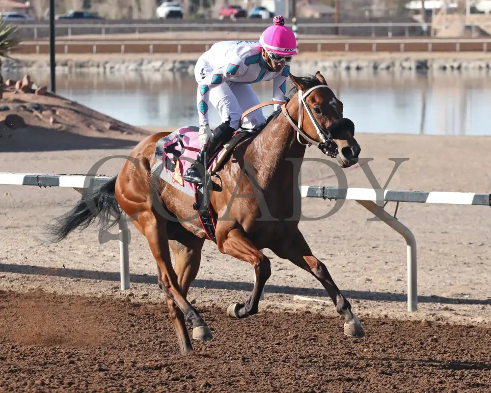 FORTY FIVE - Peppers Pride Stakes - 15th Running - 02-16-25 - R08 - Sunland Park - Action Turfway Park