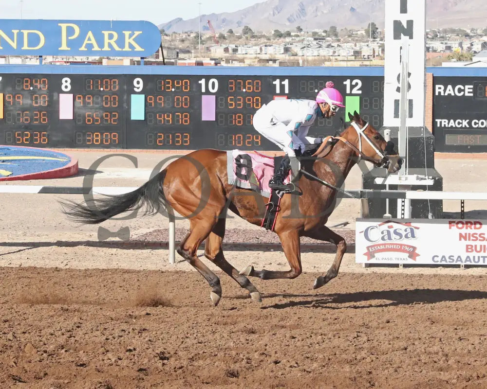 FORTY FIVE - Peppers Pride Stakes - 15th Running - 02-16-25 - R08 - Sunland Park - Finish Turfway Park